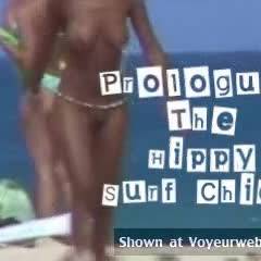 Sandfly Tellin' Stories