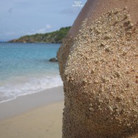 Pic #2 Nude Amateur:&nbsp;Beach...