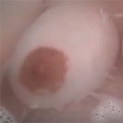 Poached Peaches - Big Tits, Amateur, Wet Tits