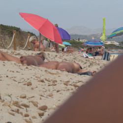 Beach Neighbors