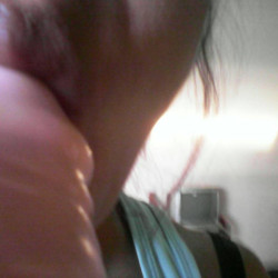Pic #1 La bedel 2