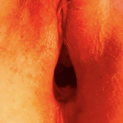 Pic #4 Holes and Nips