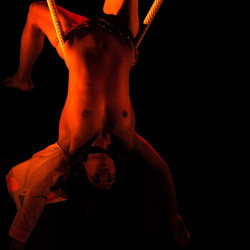 Pic #8 from a show II