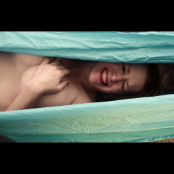 Pic #4 A Beautiful Day in the Hammock