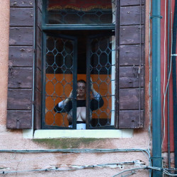 Pic #5 Venice diaries