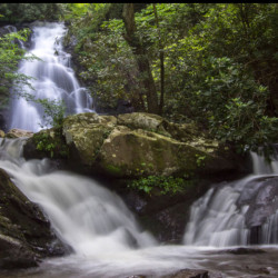 Pic #4 Smoky Mountains