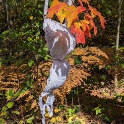 Pic #2 The End of Fall