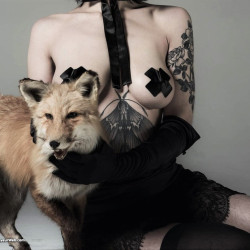 Pic #6 Ms. Rosie Wilde (Ms. Rosie Levine) professional shots (1)