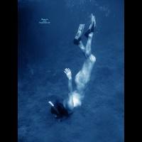 Pic #1 Aiyin's Caribbean